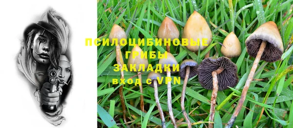 ГАЛЛЮЦИНОГЕННЫЕ ГРИБЫ Алексеевка