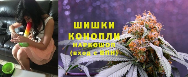 spice Алзамай