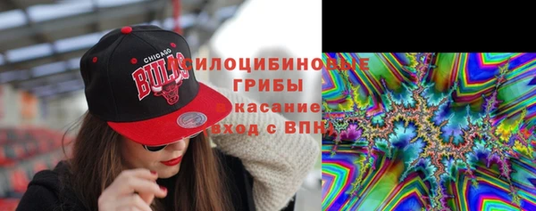 spice Алзамай